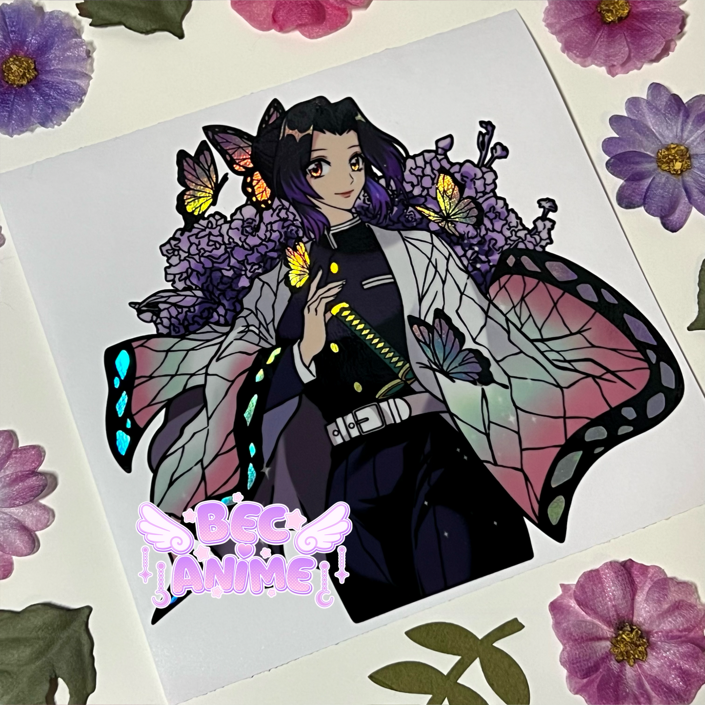 Insect