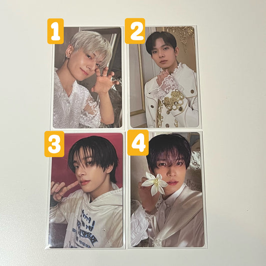 albums