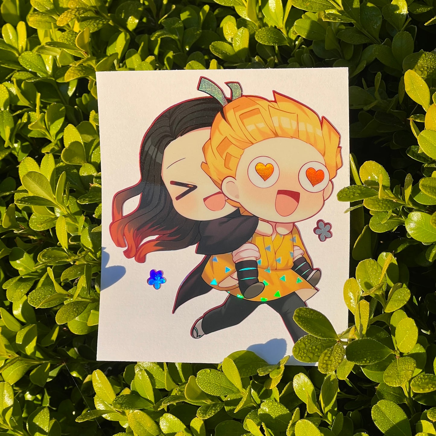 Lovebirds