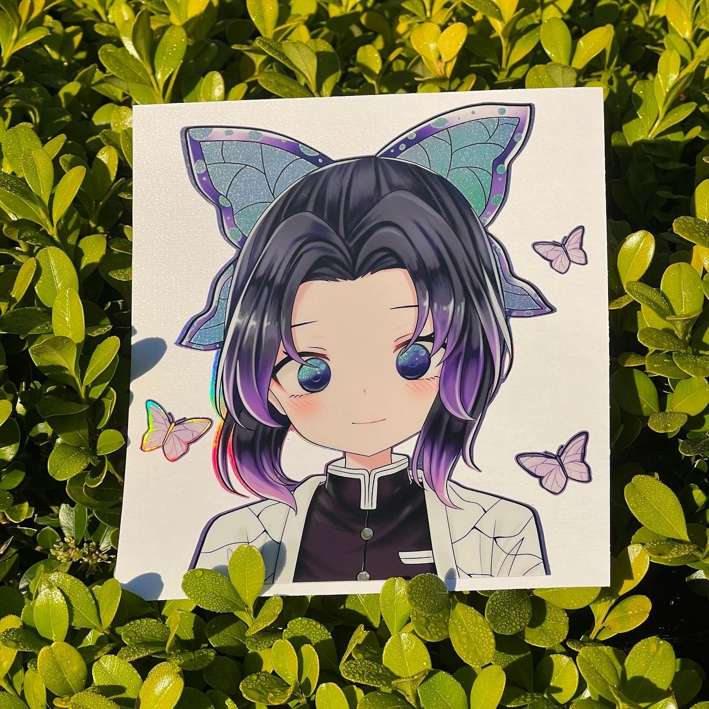 Shy Butterfly